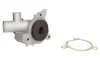 Насос водяной BMW Ruville 65008 INA 538 0160 10 (фото 1)