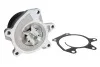 Водяний насос NISSAN 21010-1KCOA JUKE (F15), 06/10 - 1.6 DIG-T INA 538 0522 10 (фото 2)