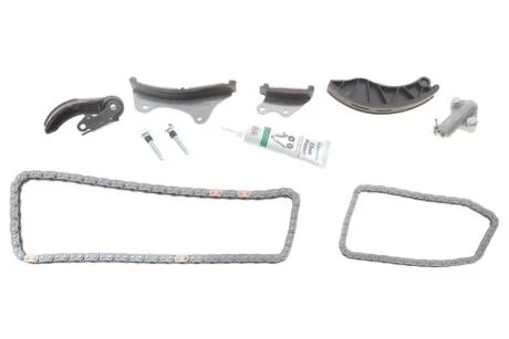 Фото комплект привідного ланцюга INA 559 1008 21 Комплект привідного ланцюга INA 559 1008 21