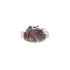 Компресорне колесо MITSUBISHI TD04 Jrone 1200-030-027 (фото 2)