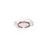 Газомасляне кільце турбіни HOLSET H1C Jrone 2000-020-069 (фото 4)