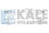 Інтеркулер Citroen Nemo (09-) OTO RADYATOR Kale 344300 (фото 1)