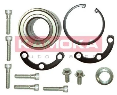 Комплект підшипника KAMOKA 5600064