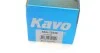 Амортизатор (задній) PARTS KAVO SSA-10348 (фото 6)