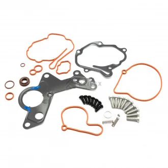 Ремкомплект тандемного вакуумного насоса VAG 1.2TDI 1.4TDI 1.9TDI 2.0TDI 038145209 Klifex KL038145209