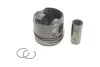 Поршень двигуна CITROEN / JAGUAR / LAND ROVER / PEUGEOT 85,60 22 HDi 200 KOLBENSCHMIDT 41704610 (фото 1)