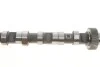 Розподільний вал VAG 2.5TDI AKN/AFB/AKE/AYM/BFC IN (CYL 1-3) (KS) KOLBENSCHMIDT 50006300 (фото 2)