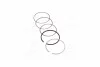 Кольца поршневые OPEL 72,50 X10XE/X12XE/Z10XE/Z12XE 1,2*1,5*2,0 (выр-во KS) KOLBENSCHMIDT 800070910000 (фото 1)