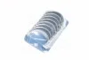 Вкладыши шатунные 0,75 RENAULT/DACIA 1.1/1.2/1.4 C1E/C1J/C2J/E5F/E6J/E7J/K4M/K7M (KS) KOLBENSCHMIDT 87845638 (фото 2)