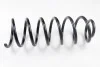 Пружини підвіски KYB RC6280 (фото 1)