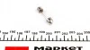 Автолампа C5W SV8,5-8 5 W прозора MAGNETI MARELLI 009423100000 (фото 2)