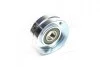 Ролик модуля натяжителя ремня MPQ0153 (MagnetiMarelli) MAGNETI MARELLI 331316170153 (фото 3)
