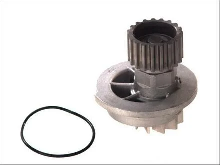 Водяний насос MAGNETI MARELLI 352316170138