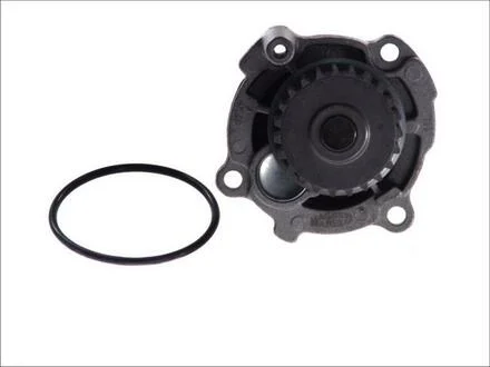 Водяний насос MAGNETI MARELLI 352316171171