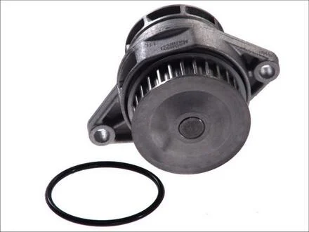 Водяний насос (кор.код. WPQ1173) MAGNETI MARELLI 352316171173