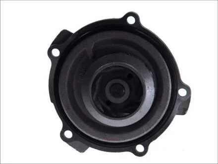 Водяний насос (кор.код. WPQ1174) MAGNETI MARELLI 352316171174