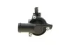 Термостат с уплотнительным кольцом MM TE0210 = MAGNETI MARELLI 352317102100 (фото 4)