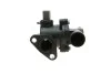 Термостат с уплотнительным кольцом MM TE0210 = MAGNETI MARELLI 352317102100 (фото 5)