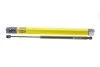 Амортизатор кришки MAGNETI MARELLI 430719047600 (фото 3)