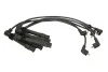 Комплект дротів запалювання (кор.код. MSQ0082) MAGNETI MARELLI 941319170082 (фото 1)