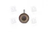 Клапан впускний IN VAG 1,2/1,6 16V 29.5x6x100.9 (Mahle) MAHLE / KNECHT 029 VE 30528 000 (фото 4)