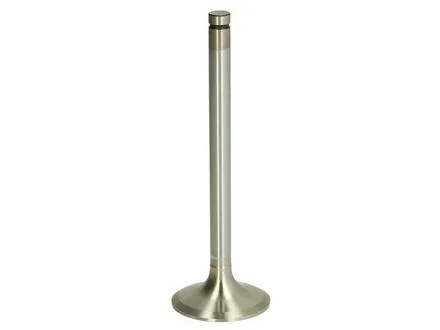 Клапан впускний RVI MIDR 06.02.26, DCi4/6 MAHLE / KNECHT 209 VE 31294 000