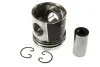Поршень DAF 130.0 XE280C1, XE315C1 Euro3 MAHLE / KNECHT 213 66 00 (фото 1)