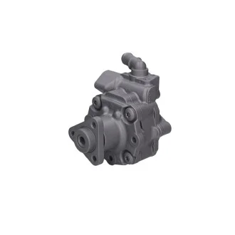 Насос ГПК восстановленный VW Touareg 02-10, Audi A6 04-11, Porsche Cayenne 10-17 MSG AU017R