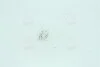 Автолампа W3W W2, 1x9, 5d 3 W прозора NARVA 17097CP (фото 2)