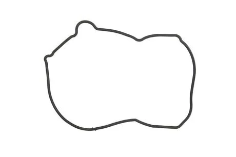 Прокладка кришки ременя грм NISSAN 13520AD201