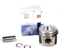 Поршень Fiat NPR 130 020 0010 20 (фото 1)