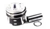Поршень Citroen NPR 130 037 0031 00 (фото 1)