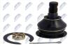 Шаровая опора lexus is250/350 gse20 05- /front upper/ NTY ZSGTY017 (фото 1)