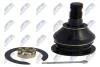 Шаровая опора lexus is250/350 gse20 05- /front upper/ NTY ZSGTY017 (фото 1)