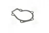 Прокладка помпы HYUNDAI G4GC PARTS-MALL P1H-A003 (фото 1)