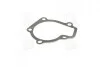 Прокладка помпы HYUNDAI G4GC PARTS-MALL P1H-A003 (фото 3)