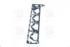 Прокладка коллектора впускного C18SED/F18D3 CHEVROLET LACETTI PARTS-MALL P1L-C016 (фото 4)