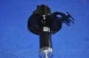 Амортизатор подв. KIA SPORTAGE передн. PARTS-MALL PJB-008A (фото 6)