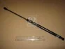 Амортизатор багажника Lacetti WAGON PARTS-MALL PQC-204 (фото 2)