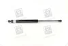 Амортизатор багажника CHEVROLET TACUMA; REZZO (U100) PARTS-MALL PQC-211 (фото 3)