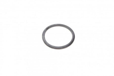 Прокладка коллектора впуск DW8 (кольцо) (1 из 4х) / Peugeot/Citroen 036534 (фото 1)