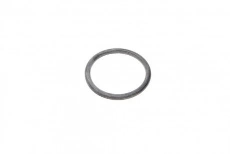 Прокладка колектора впуск DW8 (кільце) (1 з 4х) Citroen/Peugeot Peugeot/Citroen 036534