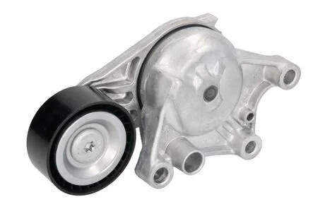 Ролик натягувача Peugeot/Citroen 1611503780