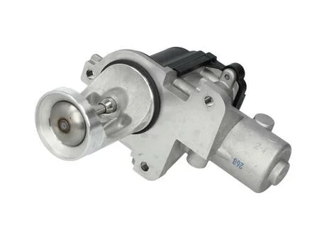 Клапан рецеркуляции газов (egr) VW Passat,Transporter,Skoda SuperB,AudiA4 PIERBURG 700365060
