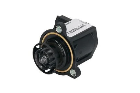 Клапан электромагнитный PIERBURG 7.01830.13.0