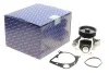 Водяной насос BMW 3/5/X3/X5/X6 (E90/E91/E92/E93/E60/E83/E70/E71/E72) 03- PIERBURG 707152540 (фото 1)