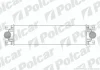 Радіатор повітря (Інтеркулери) | INTERSTAR Polcar 6041J81 (фото 1)