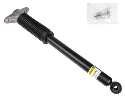 Амортизатор задній Tesla Model 3/Model Y (повний привід) (газ.) Raiso RS446102