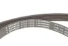 Ремкомплект приводного ремня 6PK1176 1,4-1,6I/1,5dci Duster II, Megane I RENAULT 117201925R (фото 6)