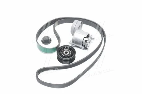 Комплект ременя генератора Megane III, Scenic III RENAULT 117207538R